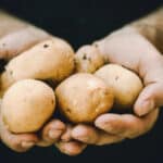 5 types de pommes de terre selon leur chair : quelles différences ?